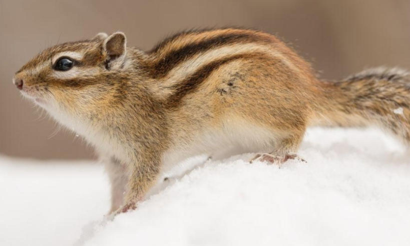 安徽品创人资管理咨询有限公司轮播图4